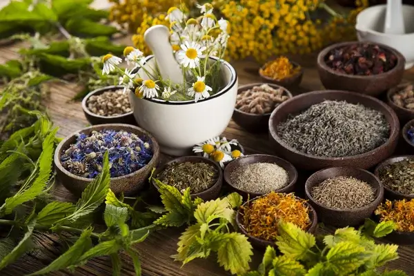 Ayurvedic Products Manufacturer in india