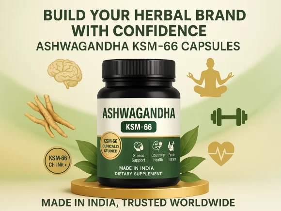 Ashwagandha KSM-66 Capsule Manufacturer